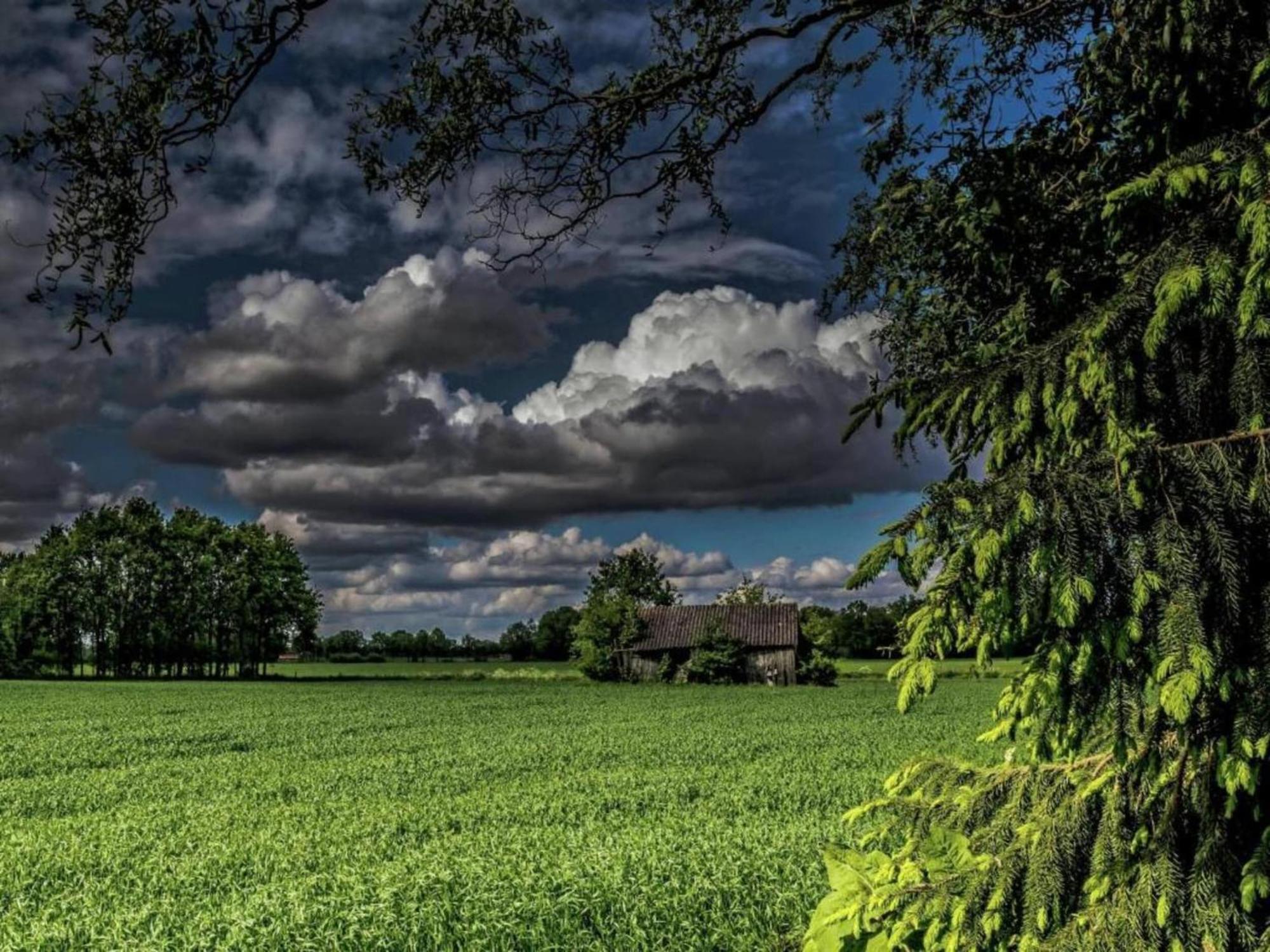 Quaint Farmhouse In Geesteren With Meadow View Екстериор снимка
